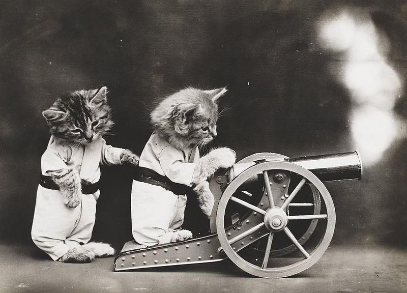 Illustration for article titled Vintage Photos Reveal Century-Long Obession with Dressing Up Pets
